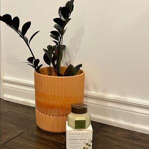 Farmacy Honey Halo Moisturizer 100 mL